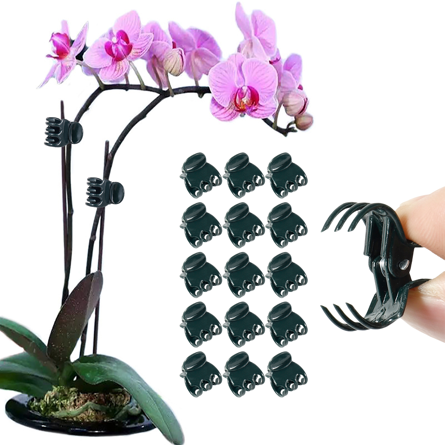 Florist Supply Bulk - 50/100Pcs Plant Clips Butterfly Orchid Flower