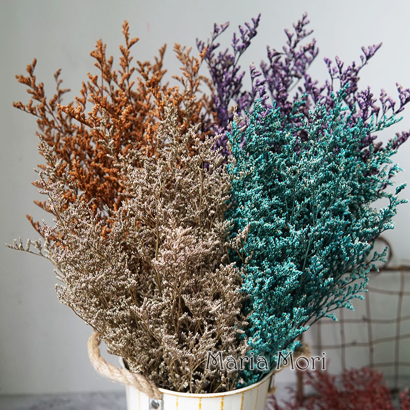 Baby Breath Dried - 50g/Preserved Valentine's Grass Limonium Flower Lover