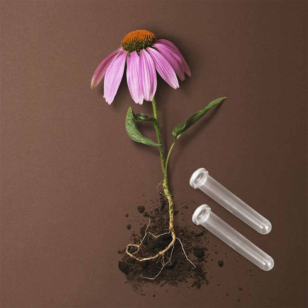 Anda Florist Supply - 100Pcs Transparent Plastic Flower Water Tubes