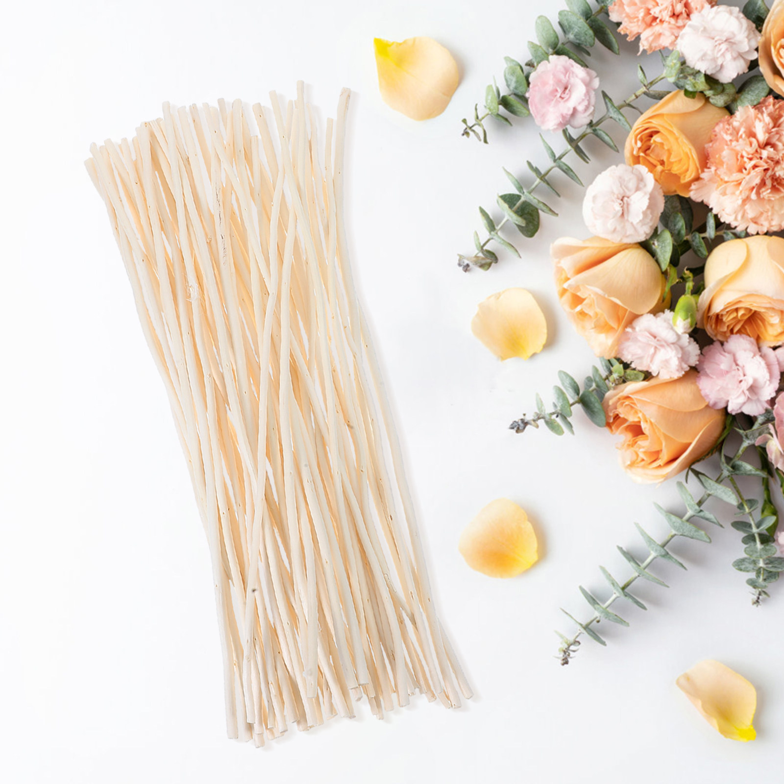50Pcs Dried Dragon Willow Bran – Branch Curly Willow Bewertung und Preis
