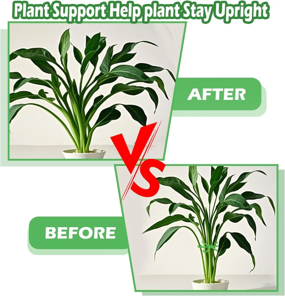 Flower Plant Stem Support Stak – Florist Supply Bulk Bewertung und Preis