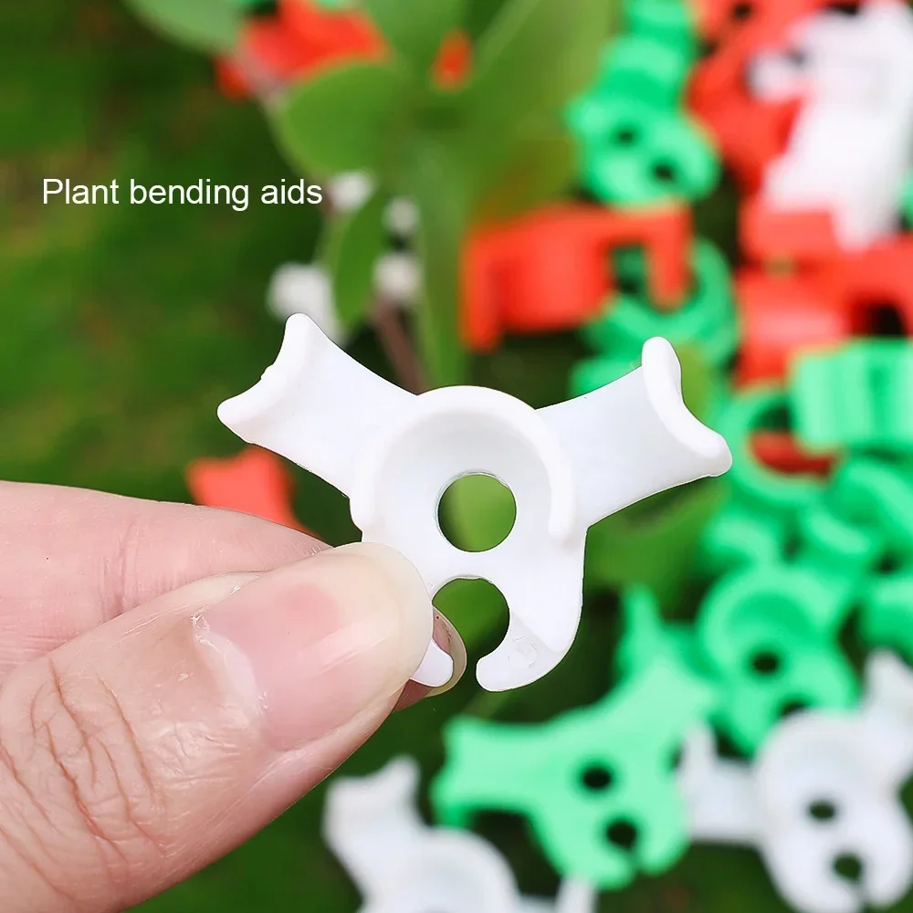 Wholesale Plant Clamp Bending  – Florist Supply Bulk Bewertung und Preis