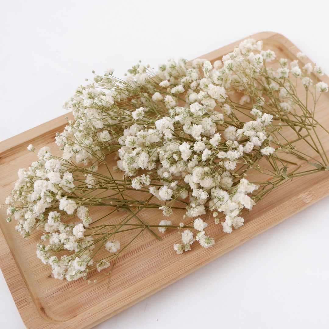 Dried Flowers White Mini Dried – Baby Breath Dried Bewertung und Preis