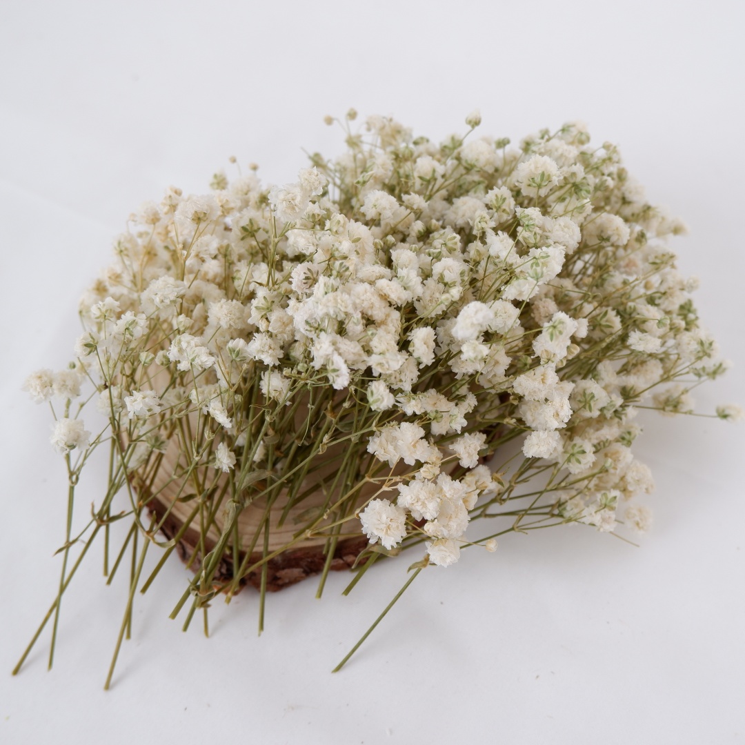 Dried Flowers White Mini Dried – Baby Breath Dried Bewertung und Preis