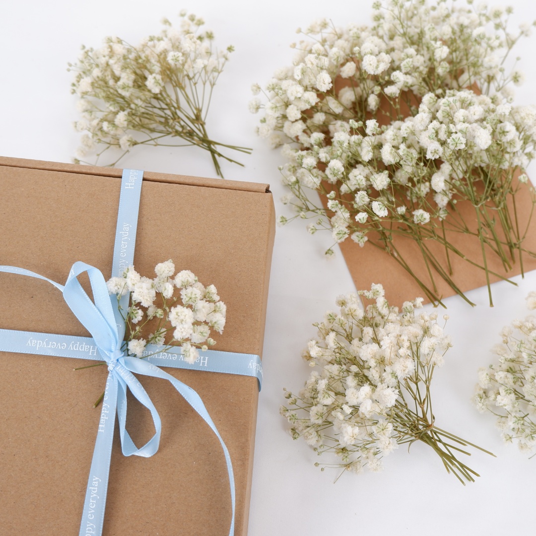 Dried Flowers White Mini Dried – Baby Breath Dried Bewertung und Preis
