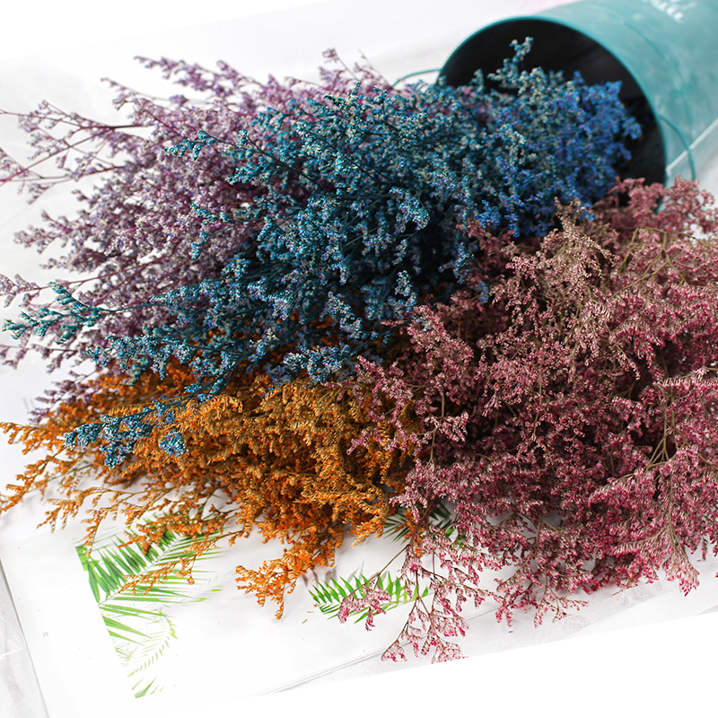 50g/Preserved Valentine's Gras – Baby Breath Dried Bewertung und Preis