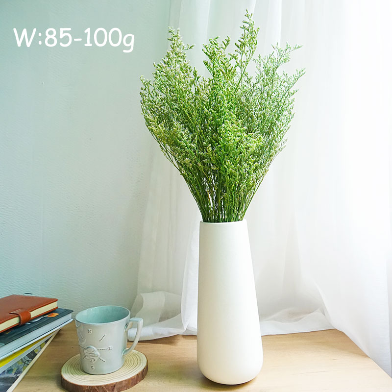 50g/Preserved Valentine's Gras – Baby Breath Dried Bewertung und Preis