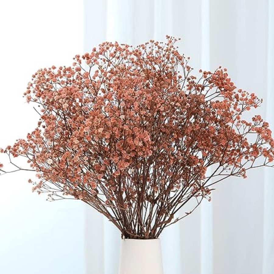 Babys Breath Dried Flowers Bou – Baby Breath Dried Bewertung und Preis