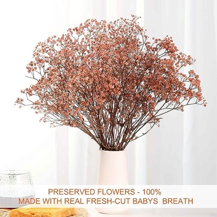 Babys Breath Dried Flowers Bou – Baby Breath Dried Bewertung und Preis