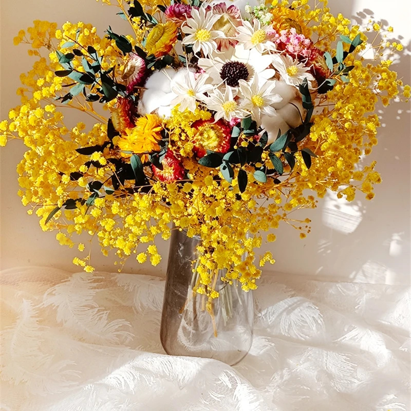 Natural Dried Flower Gypsophil – Baby Breath Dried Bewertung und Preis