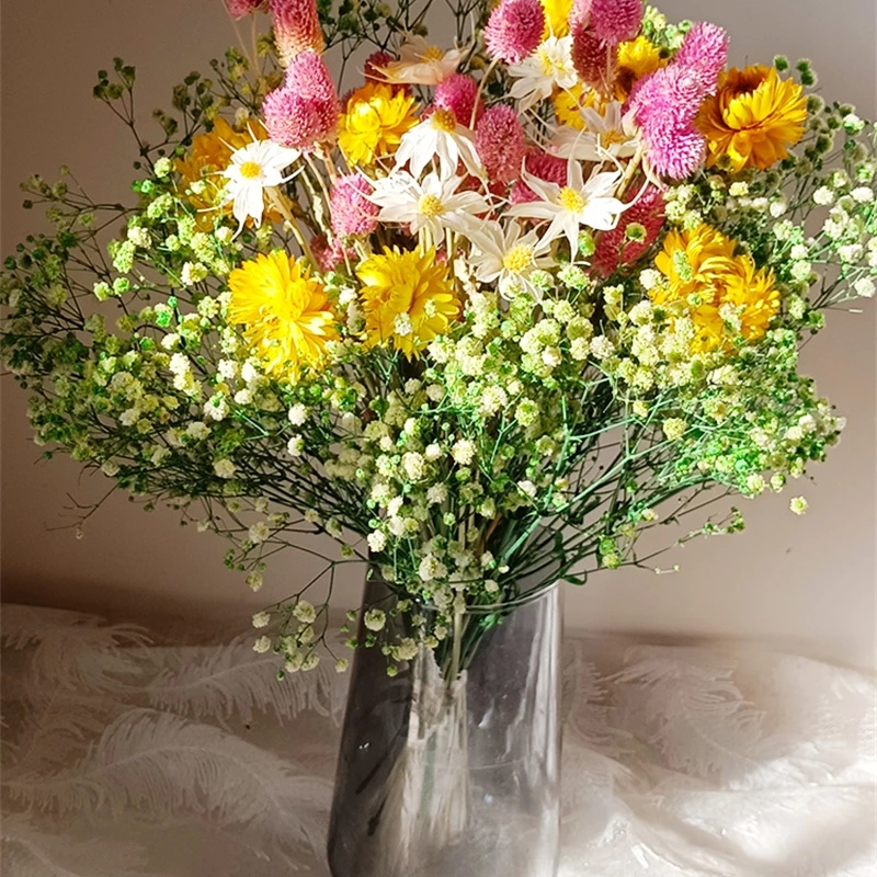 Natural Dried Flower Gypsophil – Baby Breath Dried Bewertung und Preis