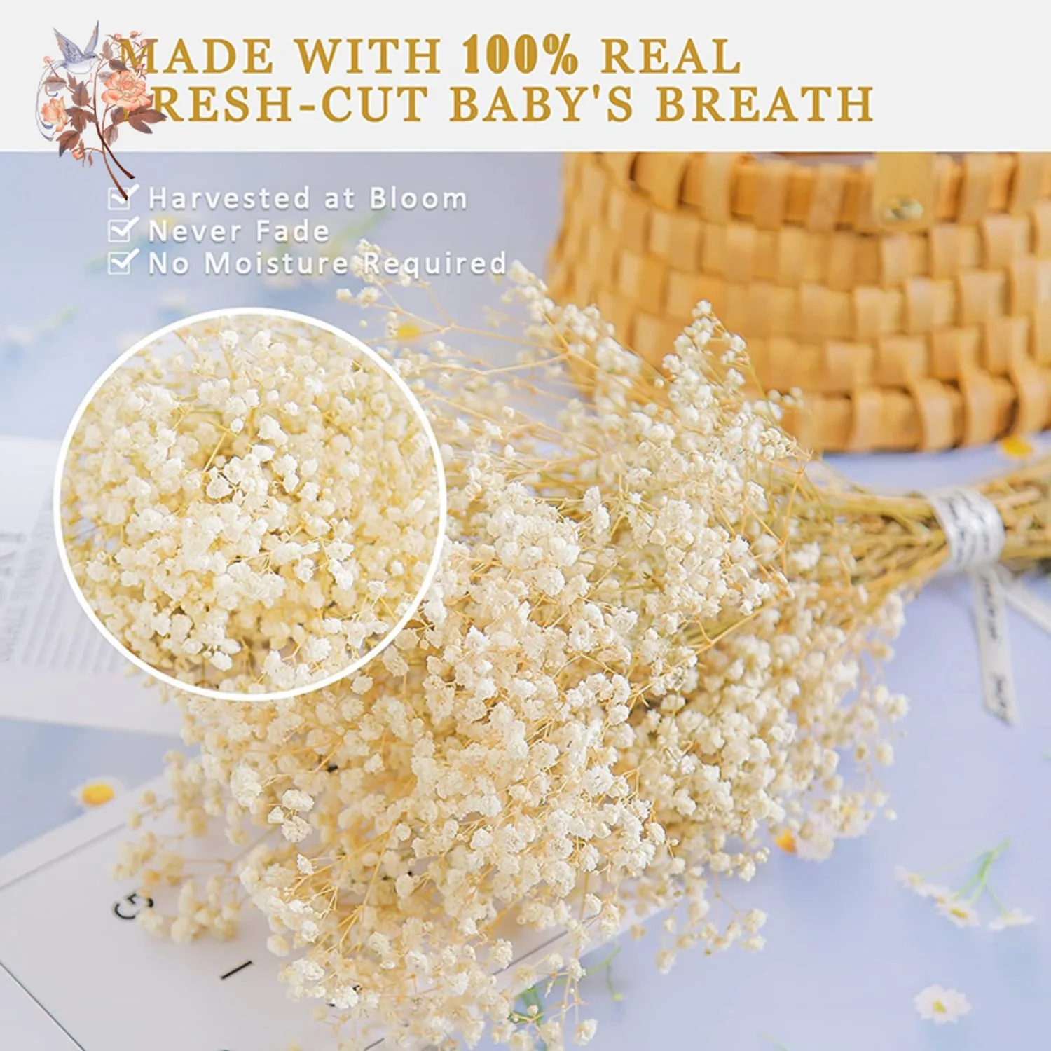 Real Baby Breath Dried Flowers – Baby Breath Dried Bewertung und Preis