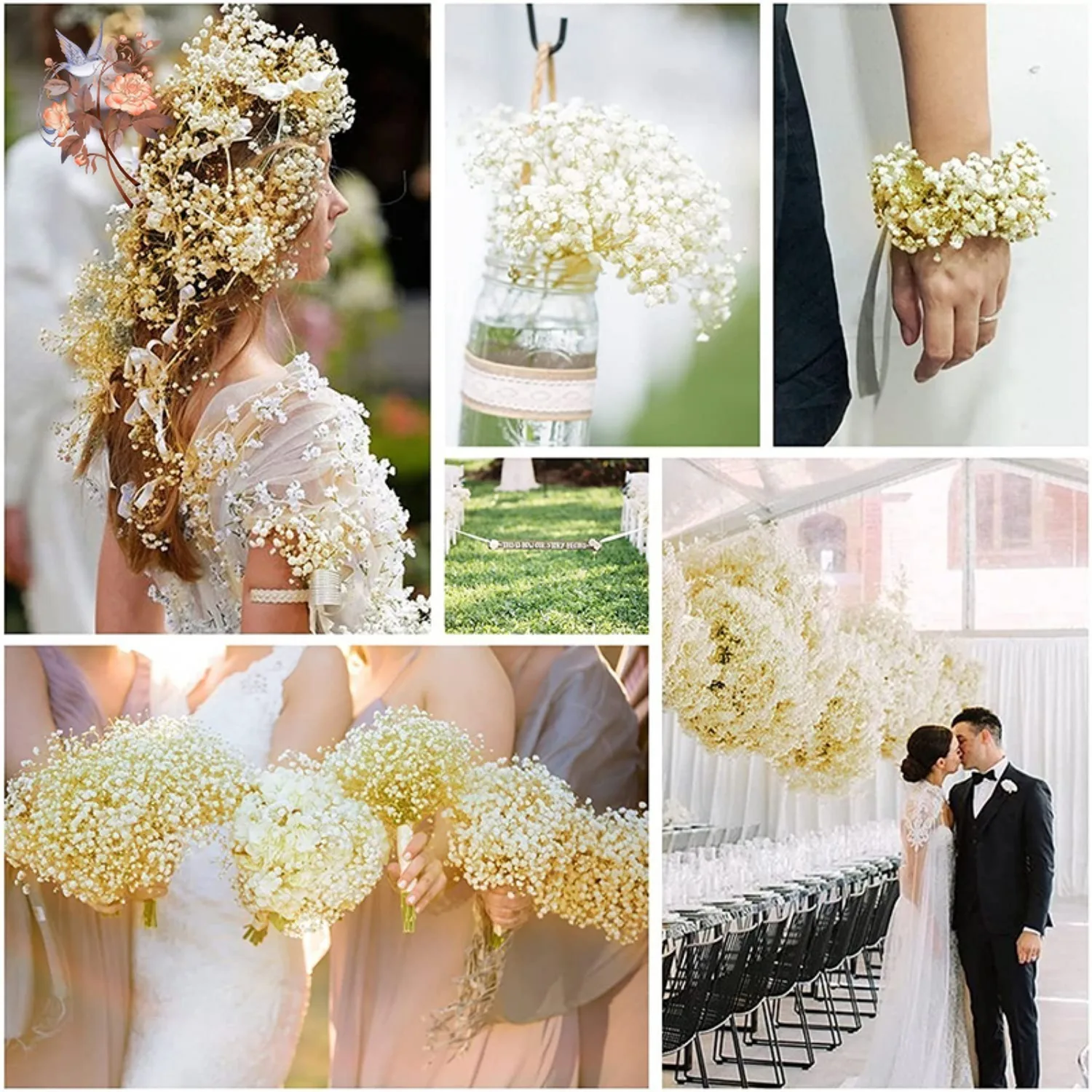 Real Baby Breath Dried Flowers – Baby Breath Dried Bewertung und Preis