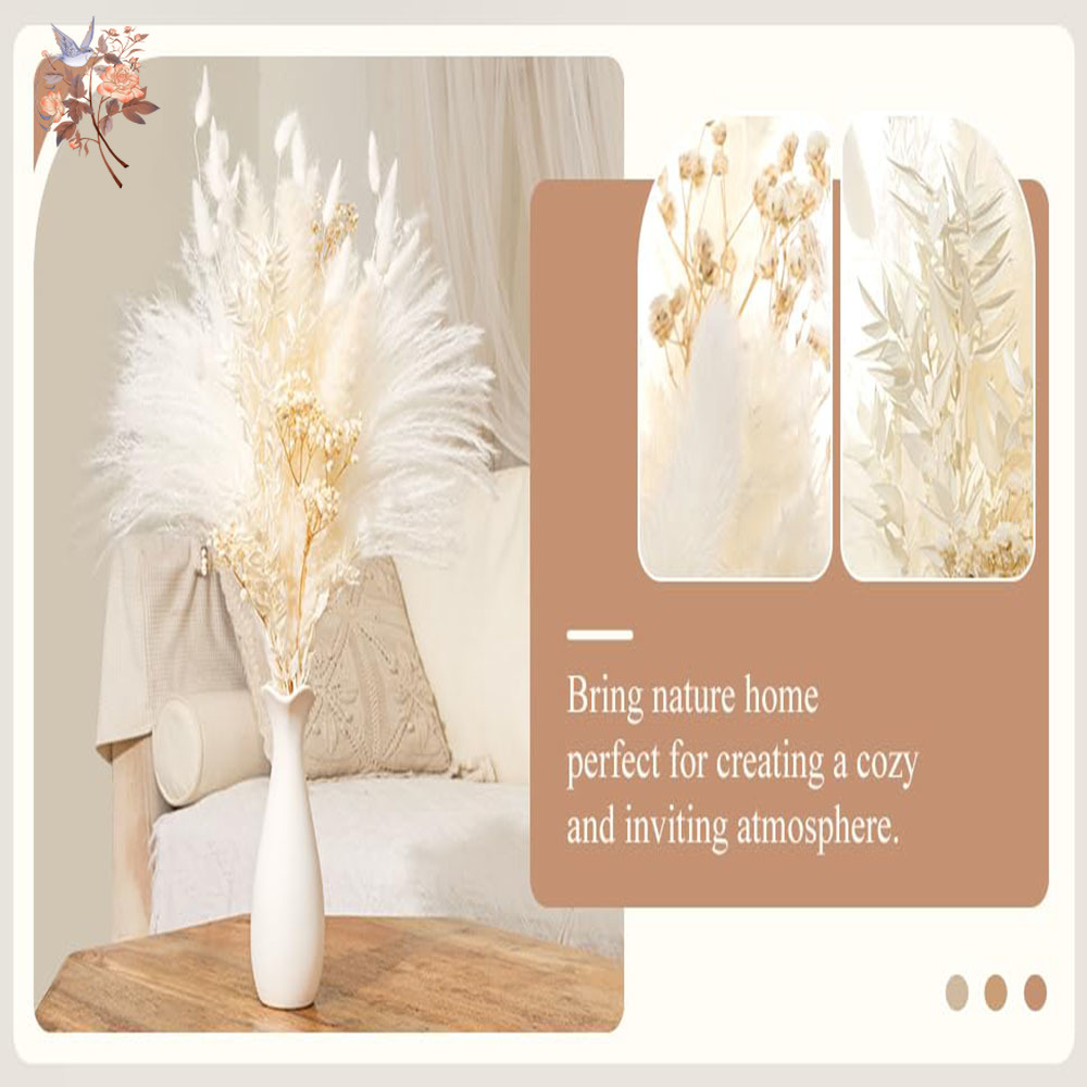 40pcs White Natural Dried Flow – Baby Breath Dried Bewertung und Preis