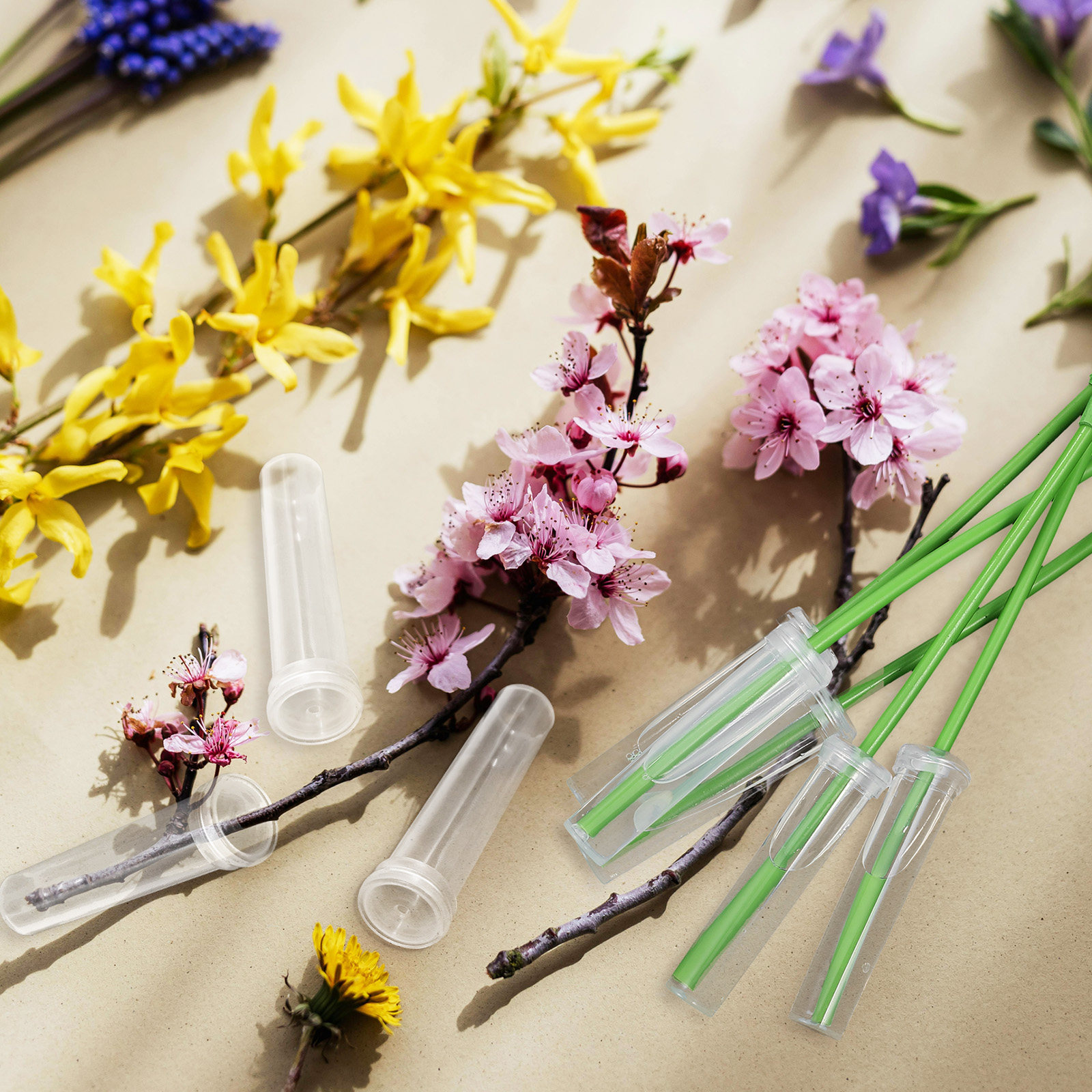 100Pcs Flower Water Tubes Univ – Easy Florist Supply Bewertung und Preis