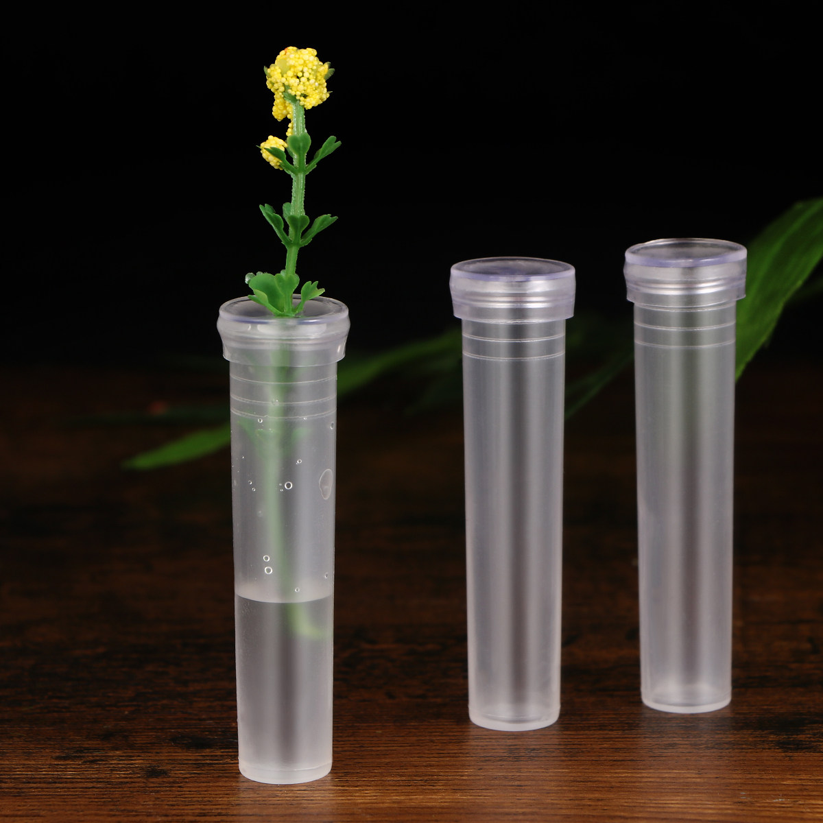 50Pcs Flower Water Storage Tub – Anda Florist Supply Bewertung und Preis