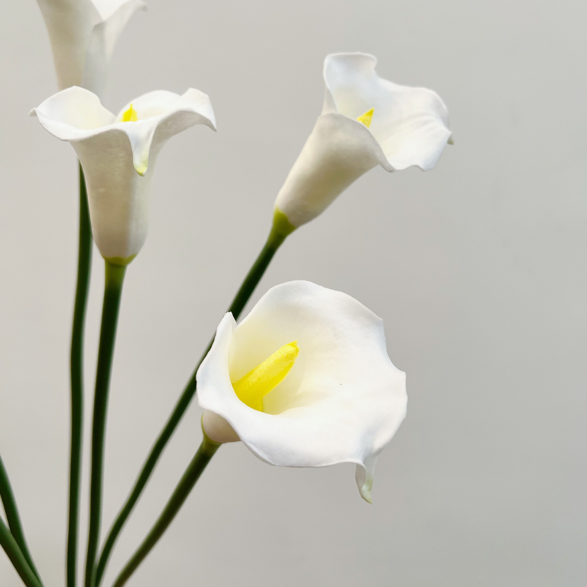 26 Inch Single Stem Crescent C – Florist Supply Bulk Bewertung und Preis