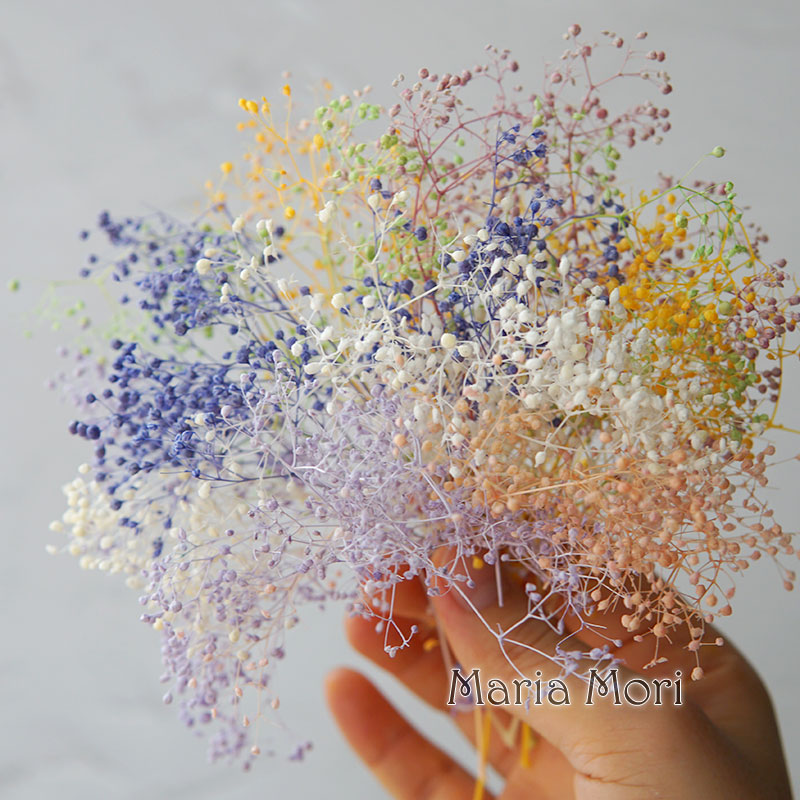 5g/Mini Baby Breath Dried Pres – Baby Breath Dried Bewertung und Preis