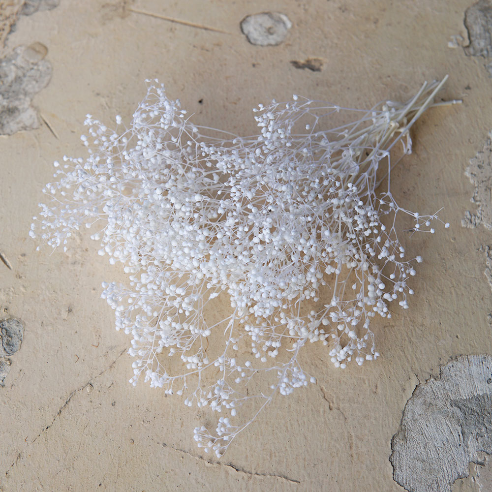 5g/Mini Baby Breath Dried Pres – Baby Breath Dried Bewertung und Preis