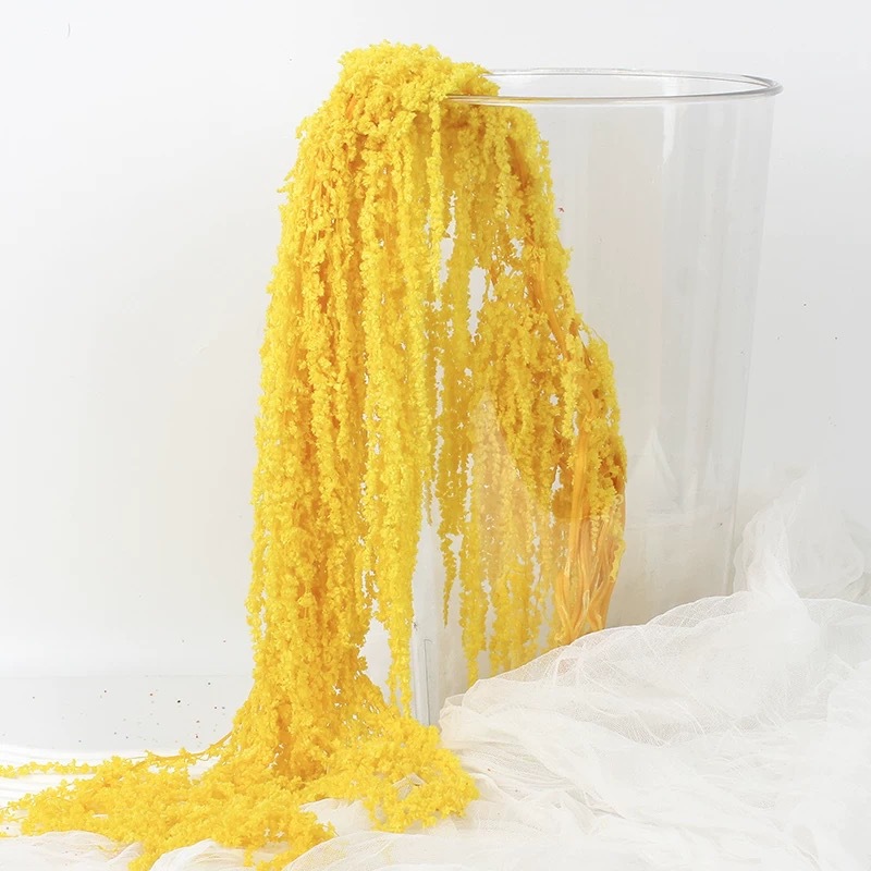 Hanging Rice Eternal Flower Pr – Baby Breath Dried Bewertung und Preis