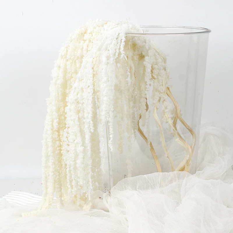 Hanging Rice Eternal Flower Pr – Baby Breath Dried Bewertung und Preis