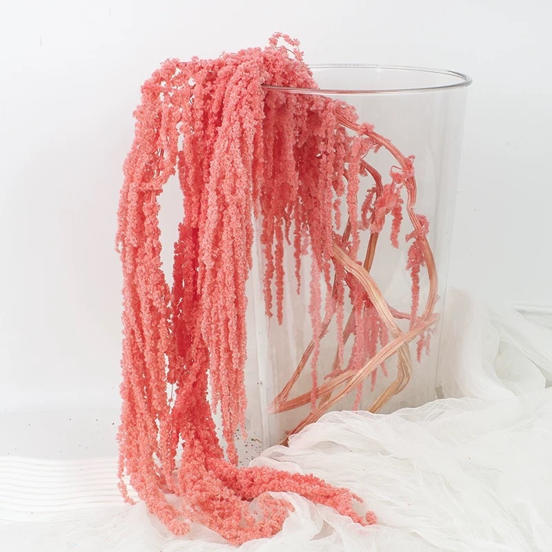 Hanging Rice Eternal Flower Pr – Baby Breath Dried Bewertung und Preis