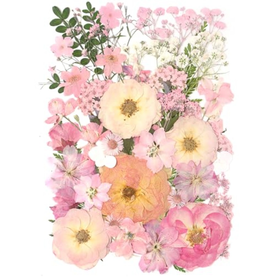 14 Types Pink Dried Pressed Fl – Baby Breath Dried Bewertung und Preis