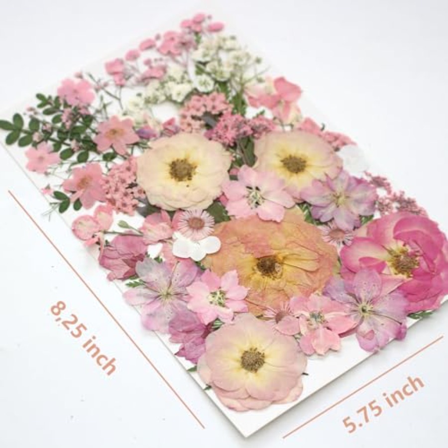 14 Types Pink Dried Pressed Fl – Baby Breath Dried Bewertung und Preis