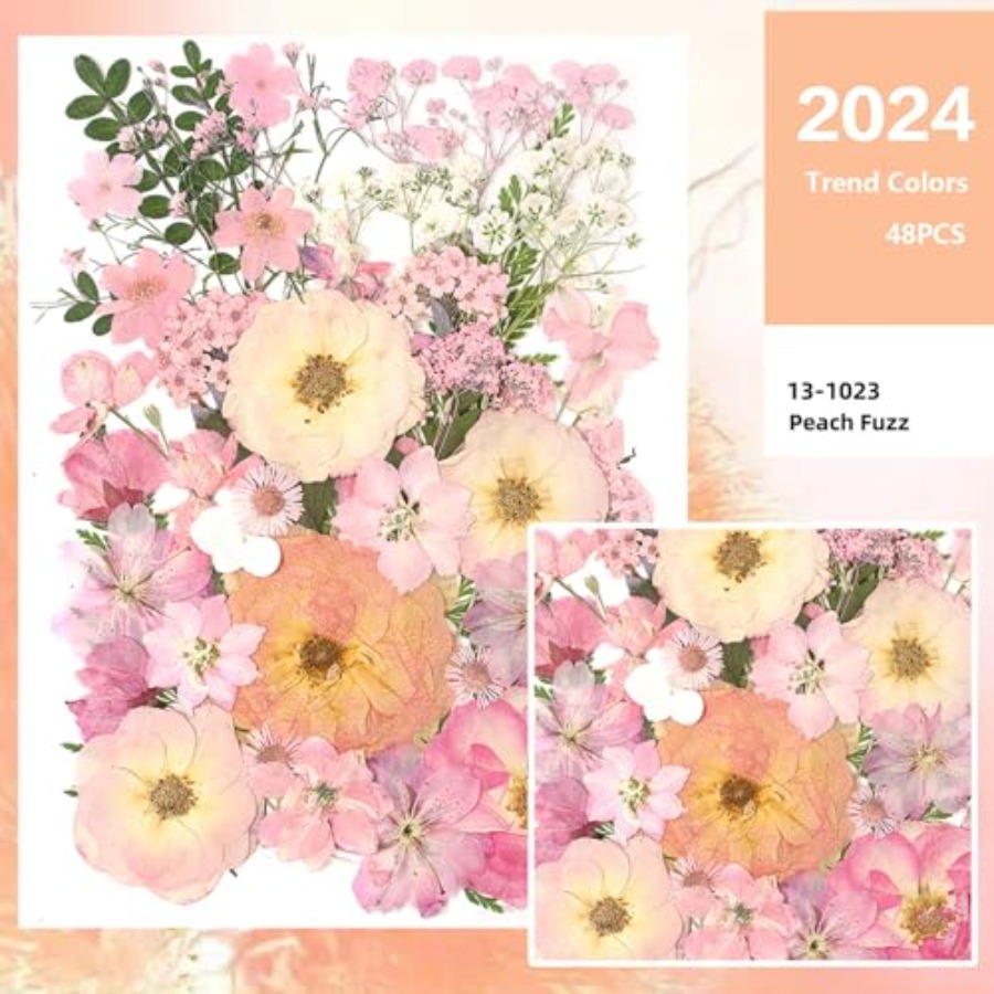 14 Types Pink Dried Pressed Fl – Baby Breath Dried Bewertung und Preis