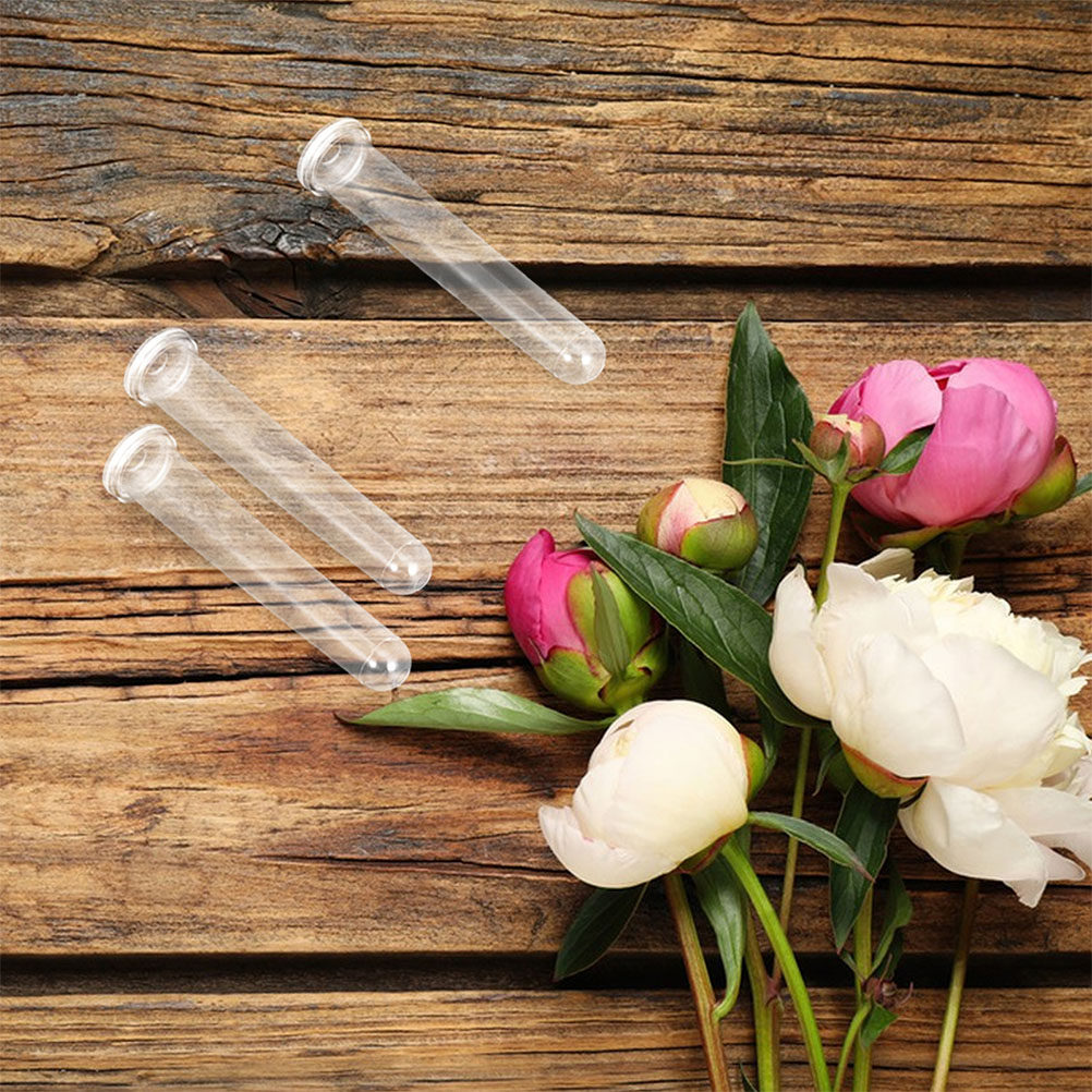 100Pcs Transparent Plastic Flo – Anda Florist Supply Bewertung und Preis