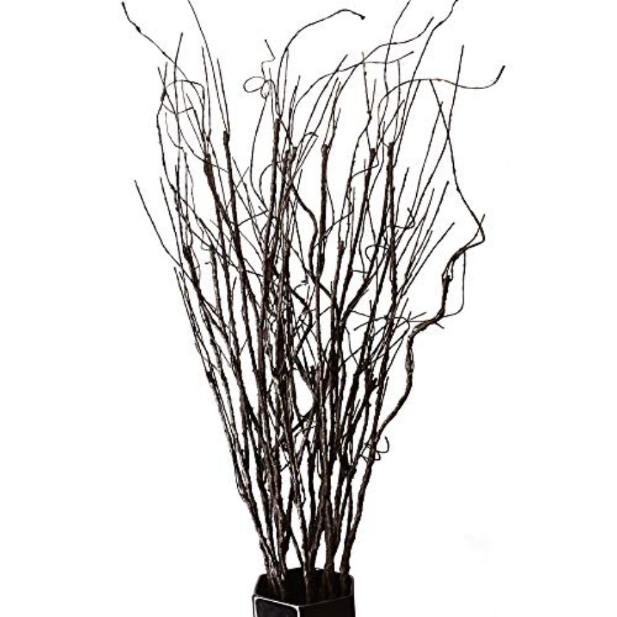10PCS Lifelike Curly Willow Br – Branch Curly Willow Bewertung und Preis