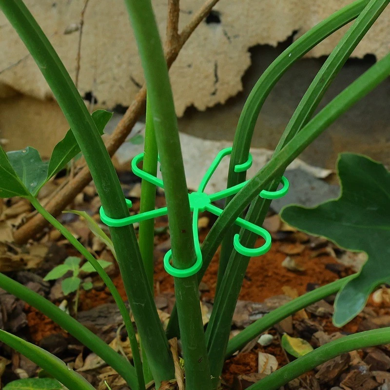 4pcs Plant Stem Support Clips  – Florist Supply Bulk Bewertung und Preis