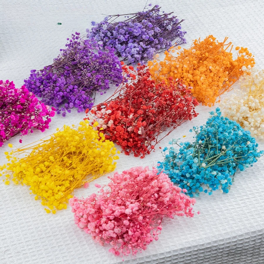 50pcs Mini Dried Baby's Breath – Baby Breath Dried Bewertung und Preis