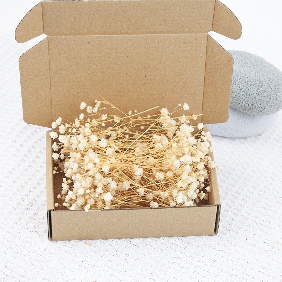 50pcs Mini Dried Baby's Breath – Baby Breath Dried Bewertung und Preis