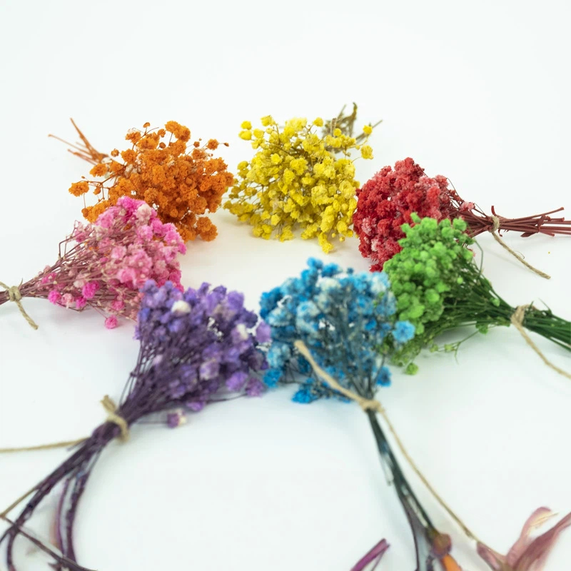 50pcs Mini Dried Baby's Breath – Baby Breath Dried Bewertung und Preis