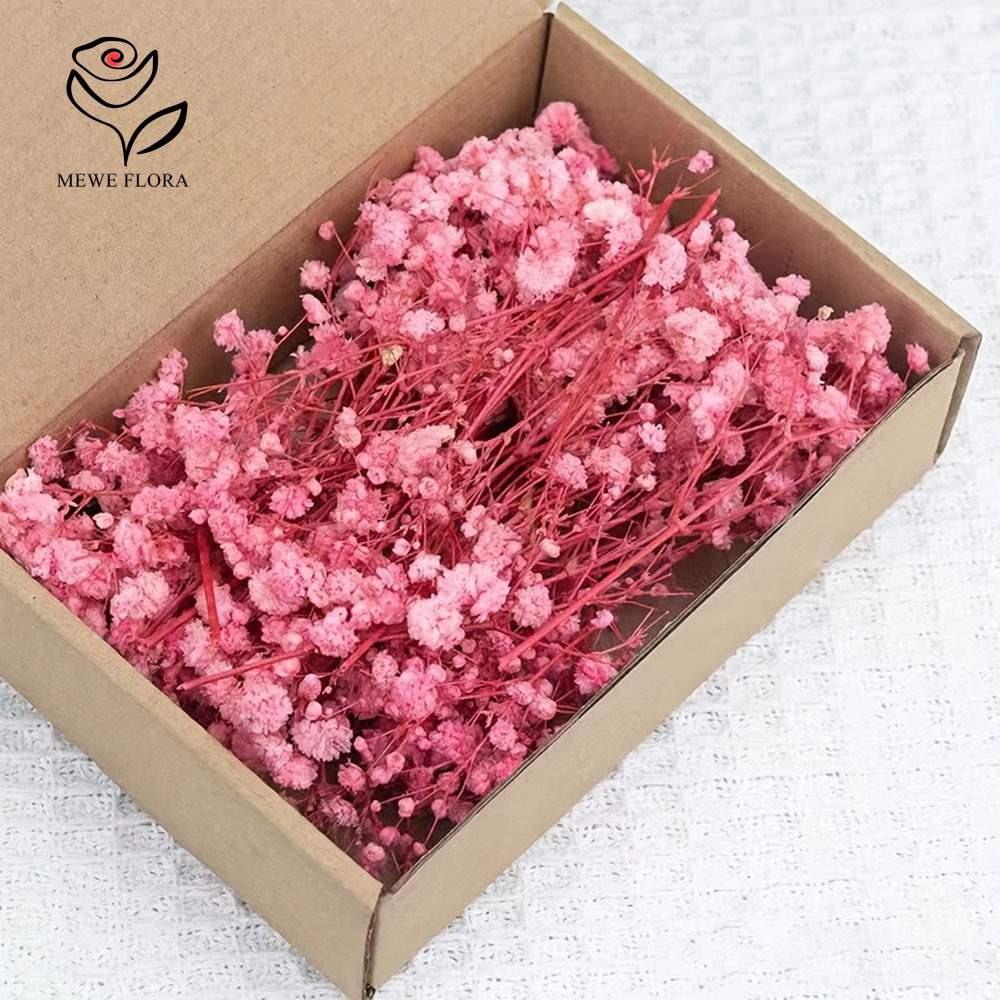 100 Small Branch Dried Baby's  – Baby Breath Dried Bewertung und Preis
