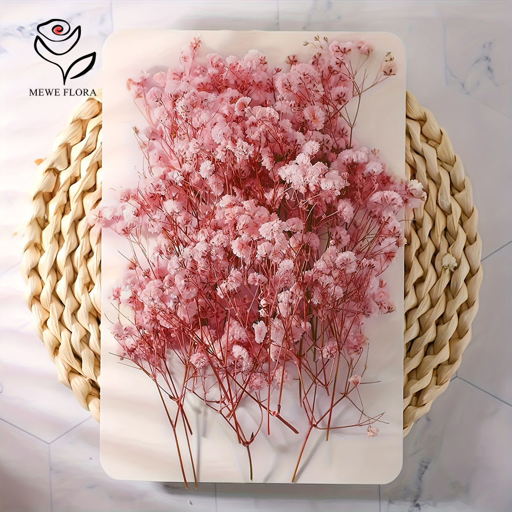 100 Small Branch Dried Baby's  – Baby Breath Dried Bewertung und Preis