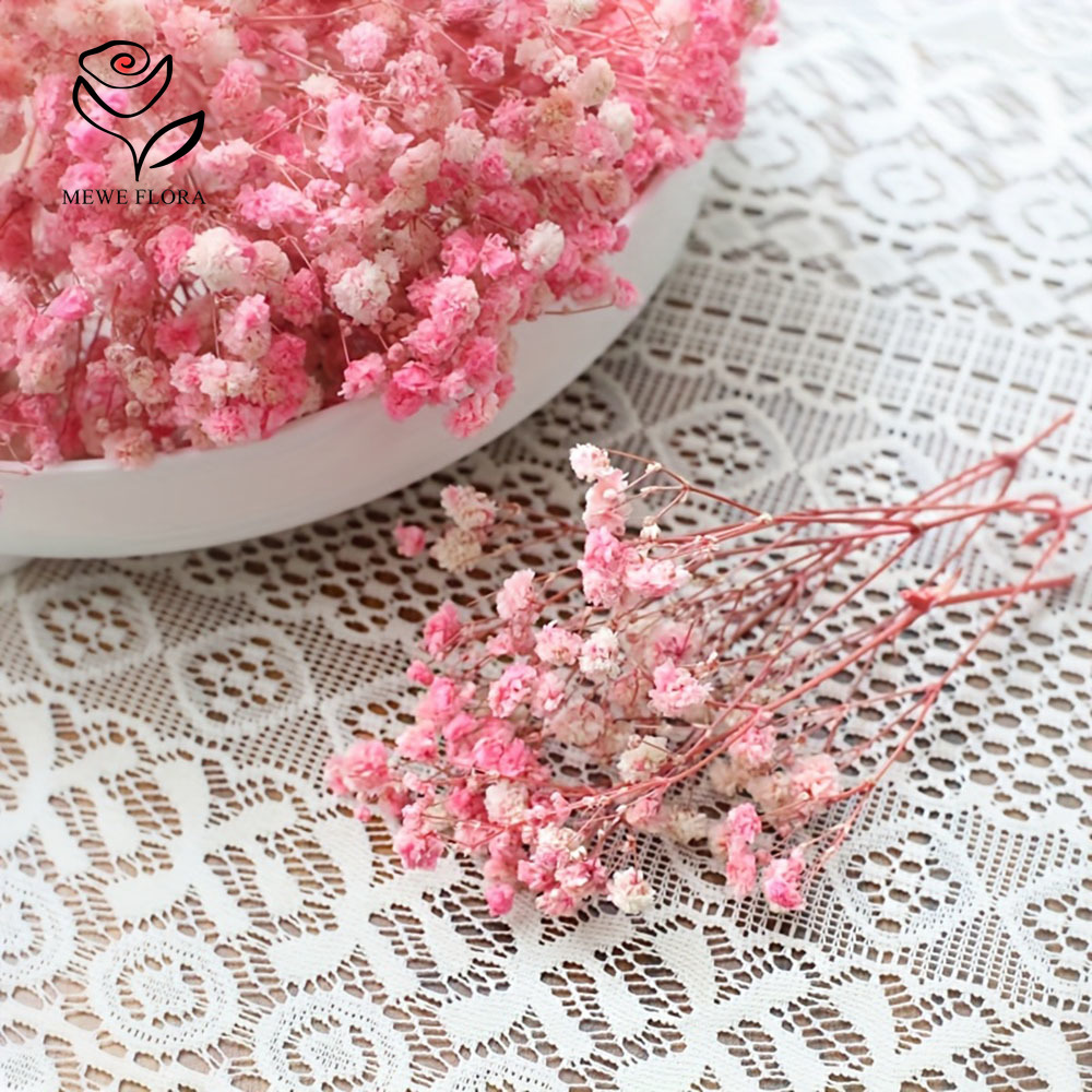 100 Small Branch Dried Baby's  – Baby Breath Dried Bewertung und Preis