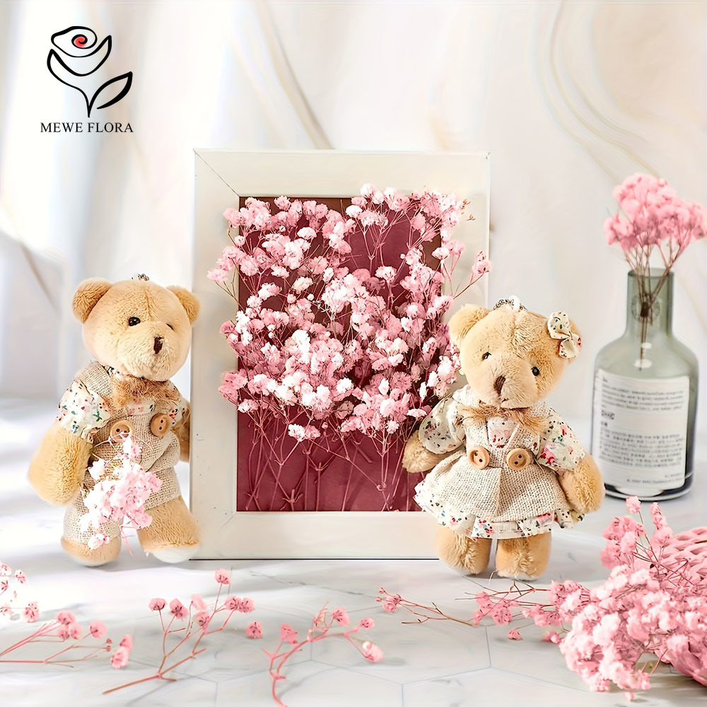 100 Small Branch Dried Baby's  – Baby Breath Dried Bewertung und Preis