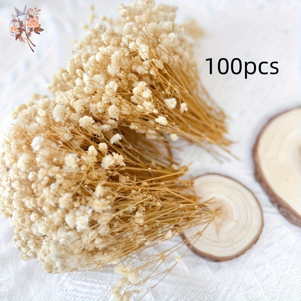 100pcs Mini Dried Baby's Breat – Baby Breath Dried Bewertung und Preis