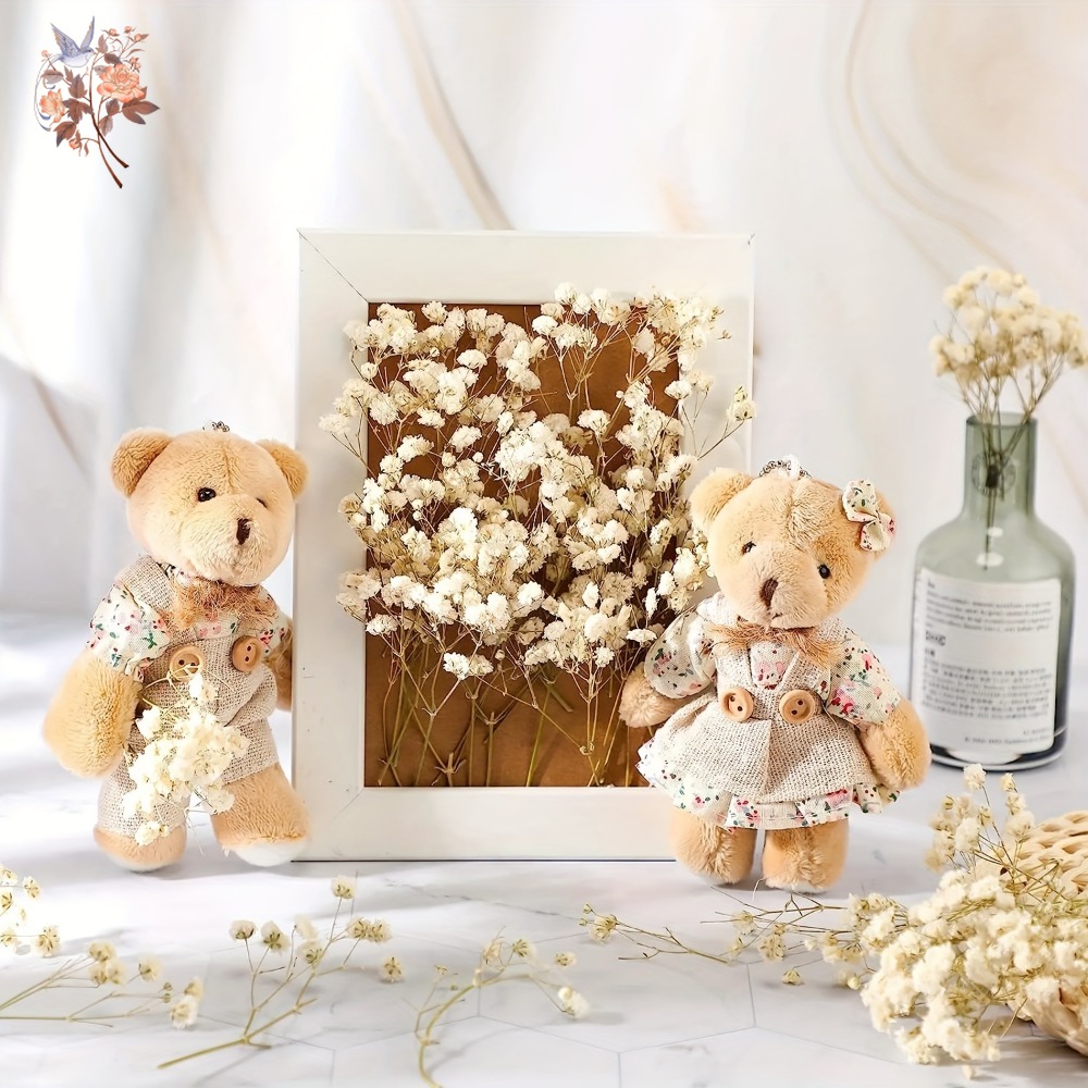100pcs Mini Dried Baby's Breat – Baby Breath Dried Bewertung und Preis